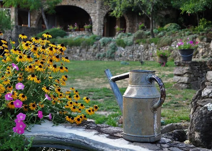 Bed & Breakfast D'hotes De Thoree Maclas